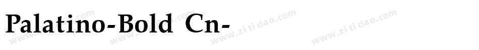 Palatino-Bold Cn字体转换